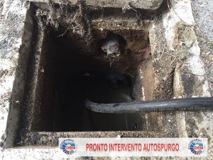 Autospurgo Roma Torrino