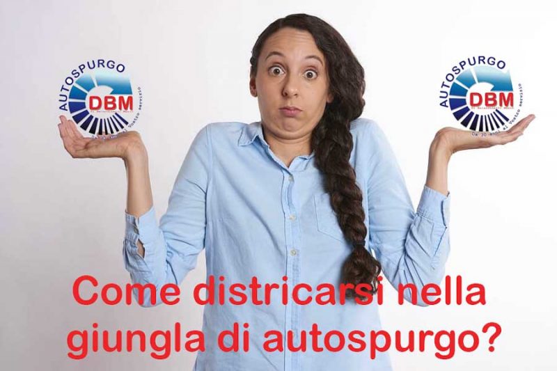 Scopri come districarti nella giungla di Autorspurgo. Come districarsi nella giungla di autospurgo?