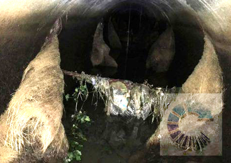 videoispezione tubazione fognaria roma